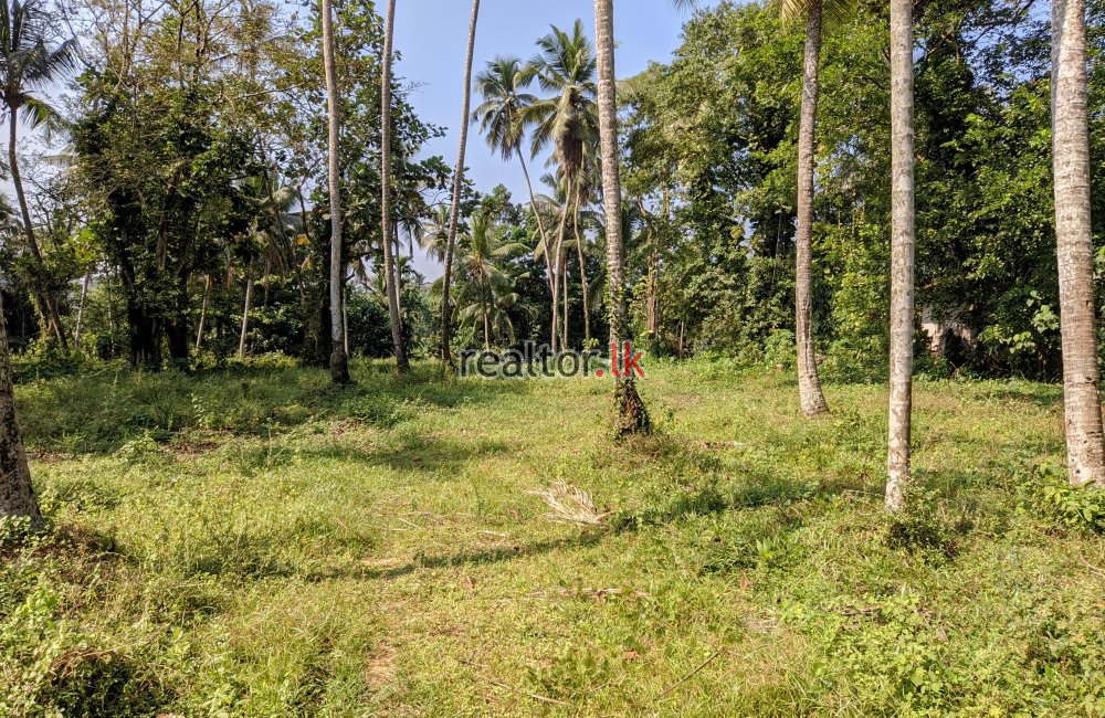 Land For Sale At Artigala Rd Meegoda 14099 Real Estates In Sri Lanka